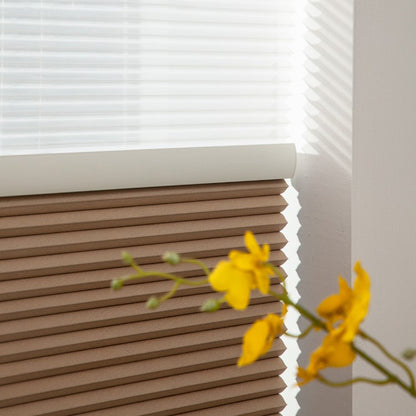 Costom 38mm Blackout Cellular Shades